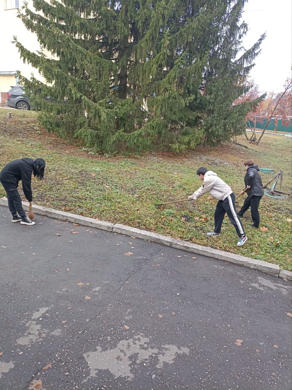 Санитарная пятница